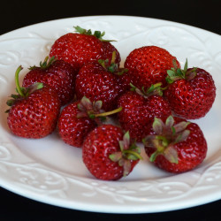 Talerz ciemnoczerwonych owoców truskawki malinowej