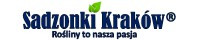 Sadzonki Kraków
